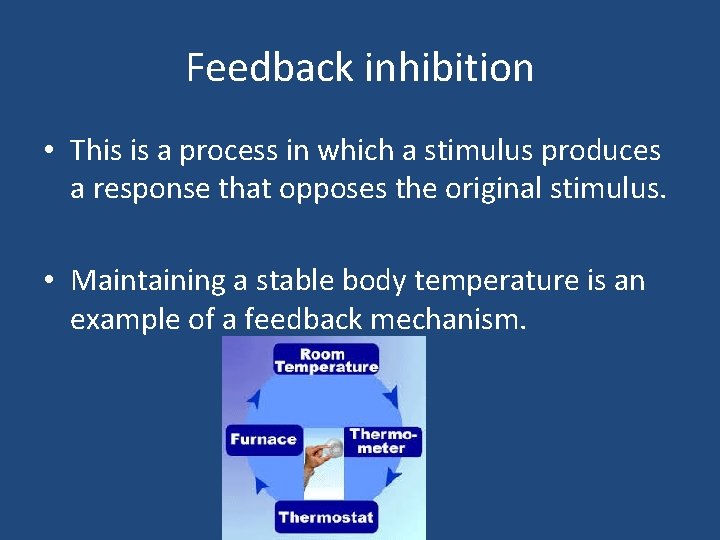 Feedback inhibition • This is a process in which a stimulus produces a response