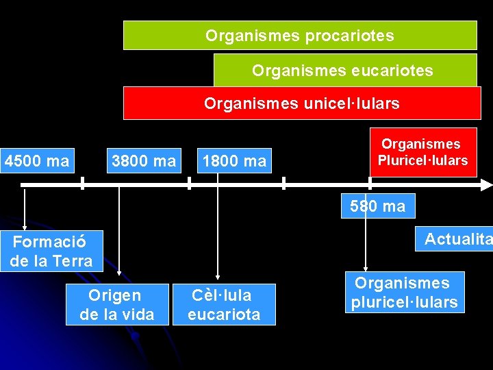 Organismes procariotes Organismes eucariotes Organismes unicel·lulars 4500 ma 3800 ma 1800 ma Organismes Pluricel·lulars