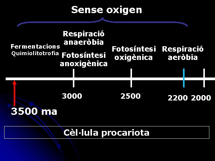 Sense oxigen Fermentacions Quimiolitotrofia Respiració anaeròbia Fotosíntesi Respiració Fotosíntesi oxigènica aeròbia anoxigènica 3000 2500