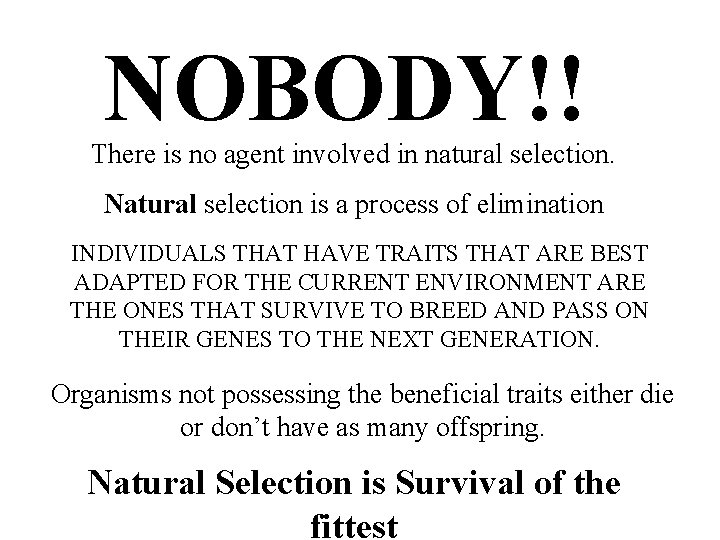 NOBODY!! There is no agent involved in natural selection. Natural selection is a process