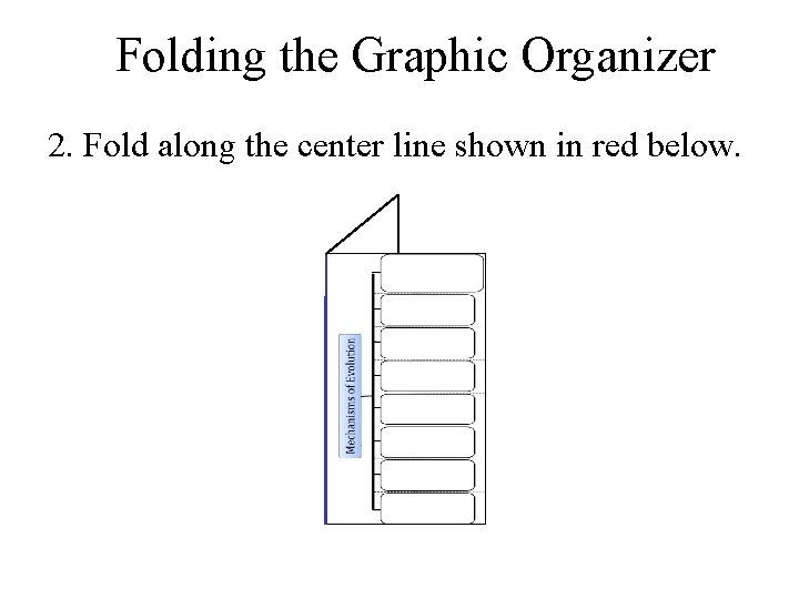 Folding the Graphic Organizer 2. Fold along the center line shown in red below.