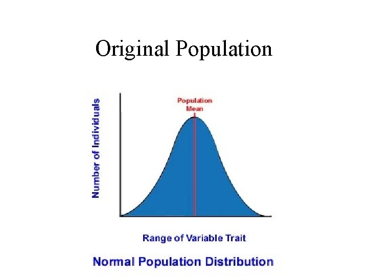 Original Population 