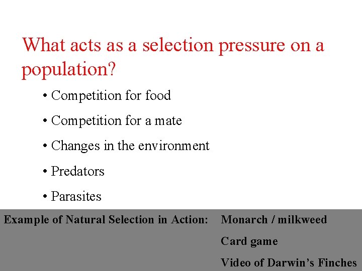 What acts as a selection pressure on a population? • Competition for food •