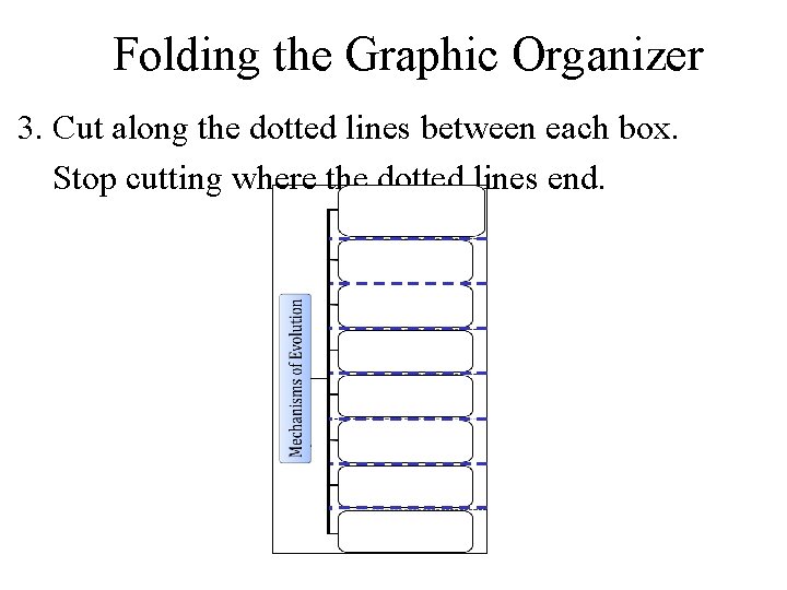 Folding the Graphic Organizer 3. Cut along the dotted lines between each box. Stop