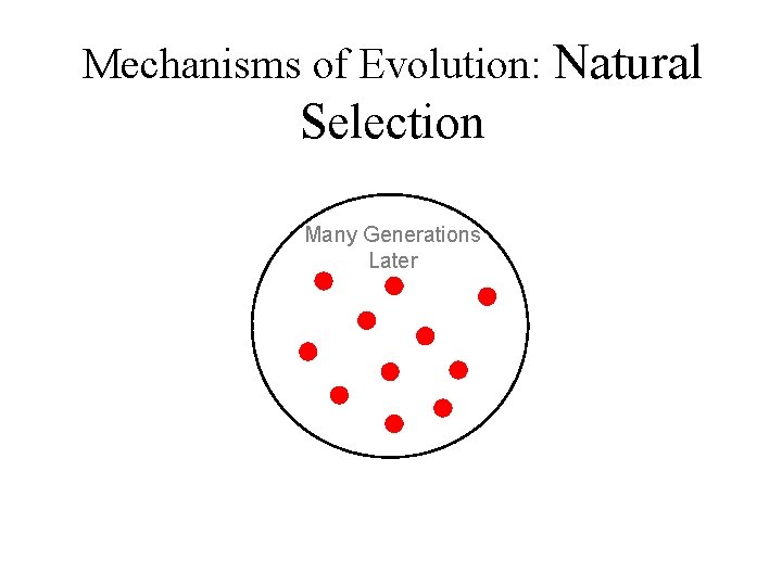 Mechanisms of Evolution: Natural Selection Many Generations Later 