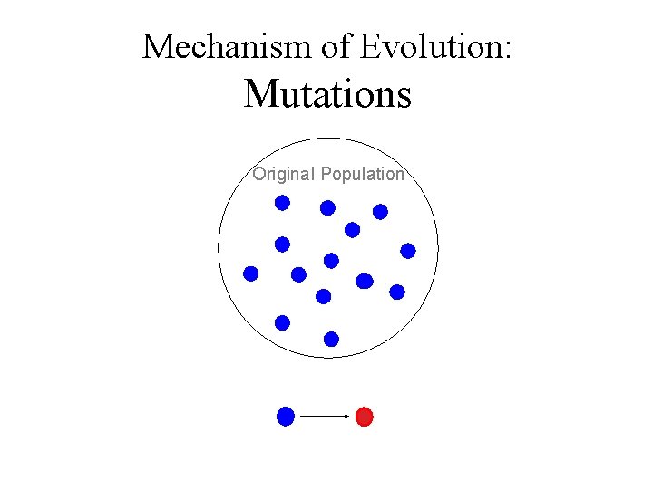 Mechanism of Evolution: Mutations Original Population 