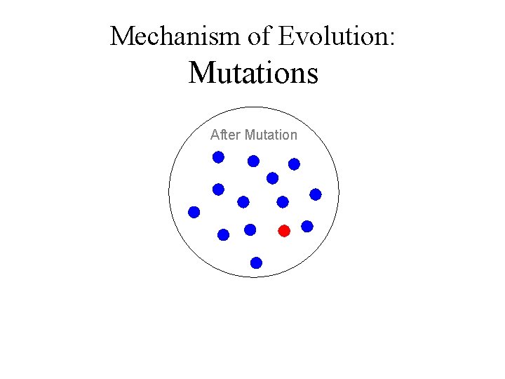 Mechanism of Evolution: Mutations After Mutation 