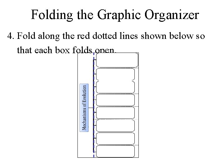 Folding the Graphic Organizer 4. Fold along the red dotted lines shown below so
