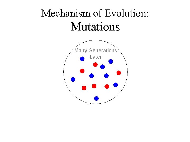 Mechanism of Evolution: Mutations Many Generations Later 