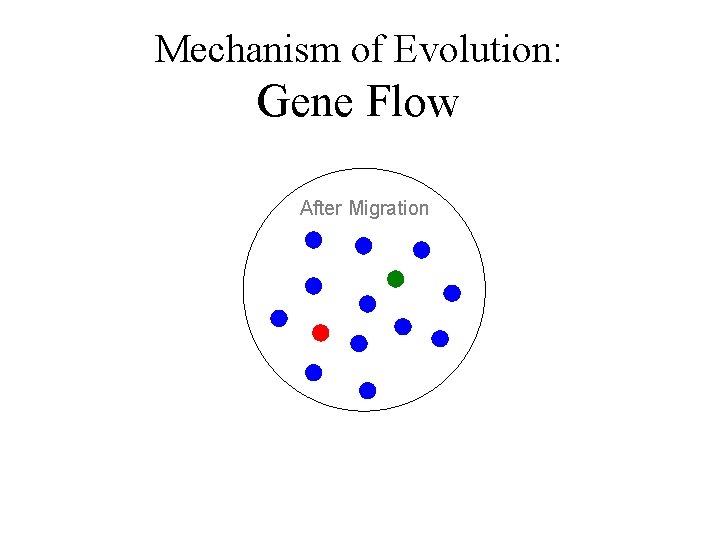 Mechanism of Evolution: Gene Flow After Migration 