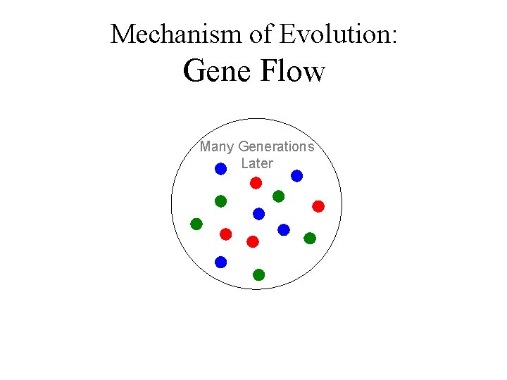 Mechanism of Evolution: Gene Flow Many Generations Later 