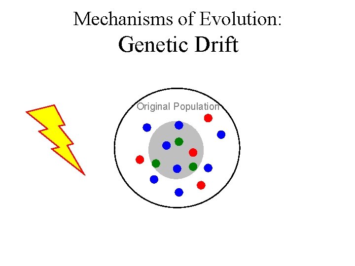 Mechanisms of Evolution: Genetic Drift Original Population 