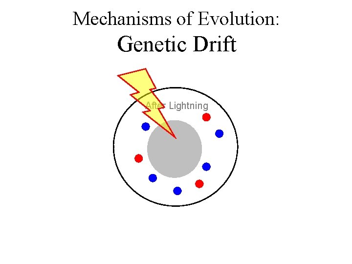 Mechanisms of Evolution: Genetic Drift After Lightning 