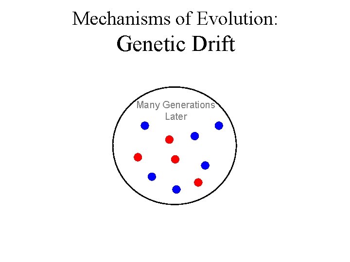 Mechanisms of Evolution: Genetic Drift Many Generations Later 