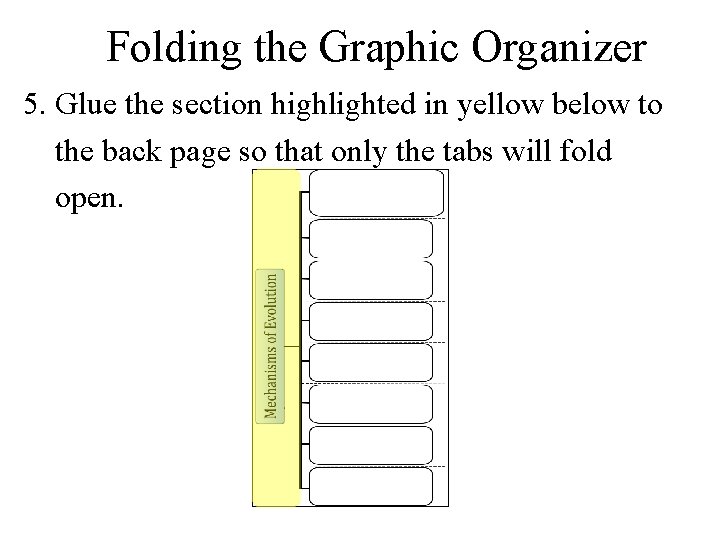 Folding the Graphic Organizer 5. Glue the section highlighted in yellow below to the