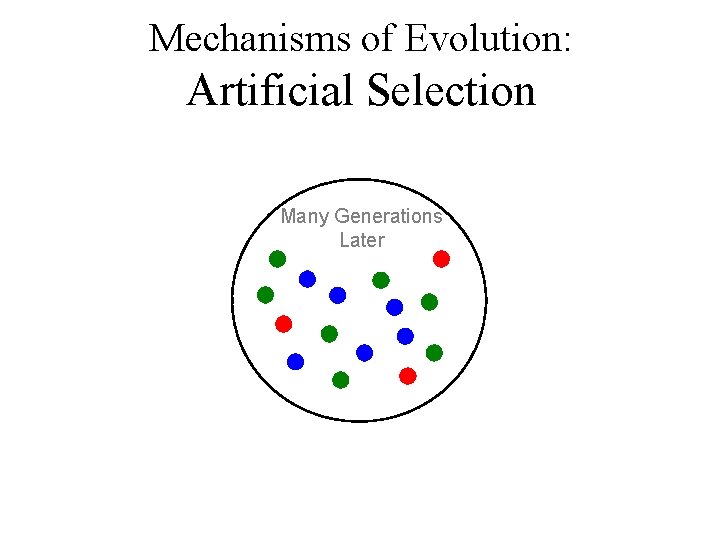 Mechanisms of Evolution: Artificial Selection Many Generations Later 