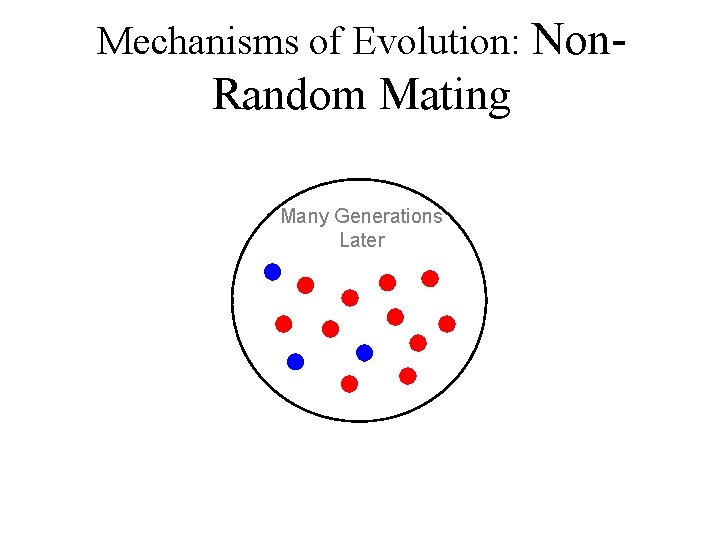 Mechanisms of Evolution: Non- Random Mating Many Generations Later 