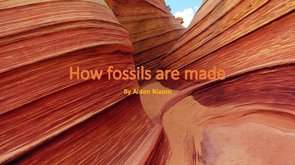 How fossils are made By Aiden Rixom 