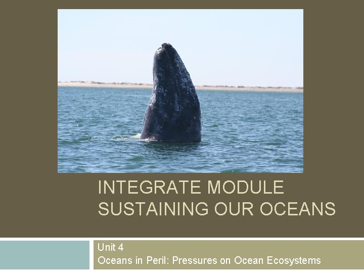 INTEGRATE MODULE SUSTAINING OUR OCEANS Unit 4 Oceans in Peril: Pressures on Ocean Ecosystems