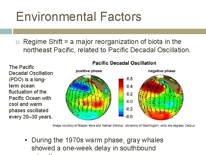 Environmental Factors Regime Shift = a major reorganization of biota in the northeast Pacific,