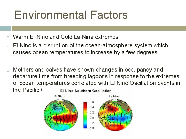 Environmental Factors • Warm El Nino and Cold La Nina extremes El Nino is