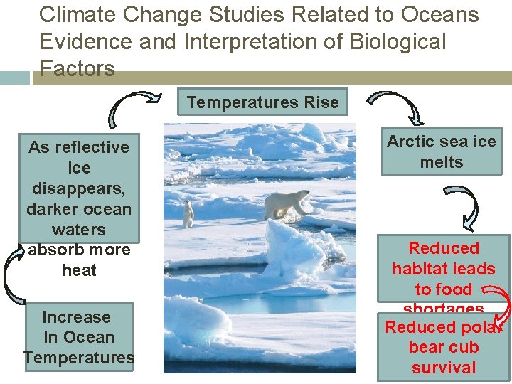 Climate Change Studies Related to Oceans Evidence and Interpretation of Biological Factors Temperatures Rise