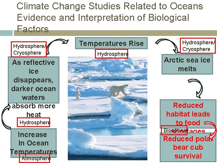 Climate Change Studies Related to Oceans Evidence and Interpretation of Biological Factors Hydrosphere/ Cryosphere