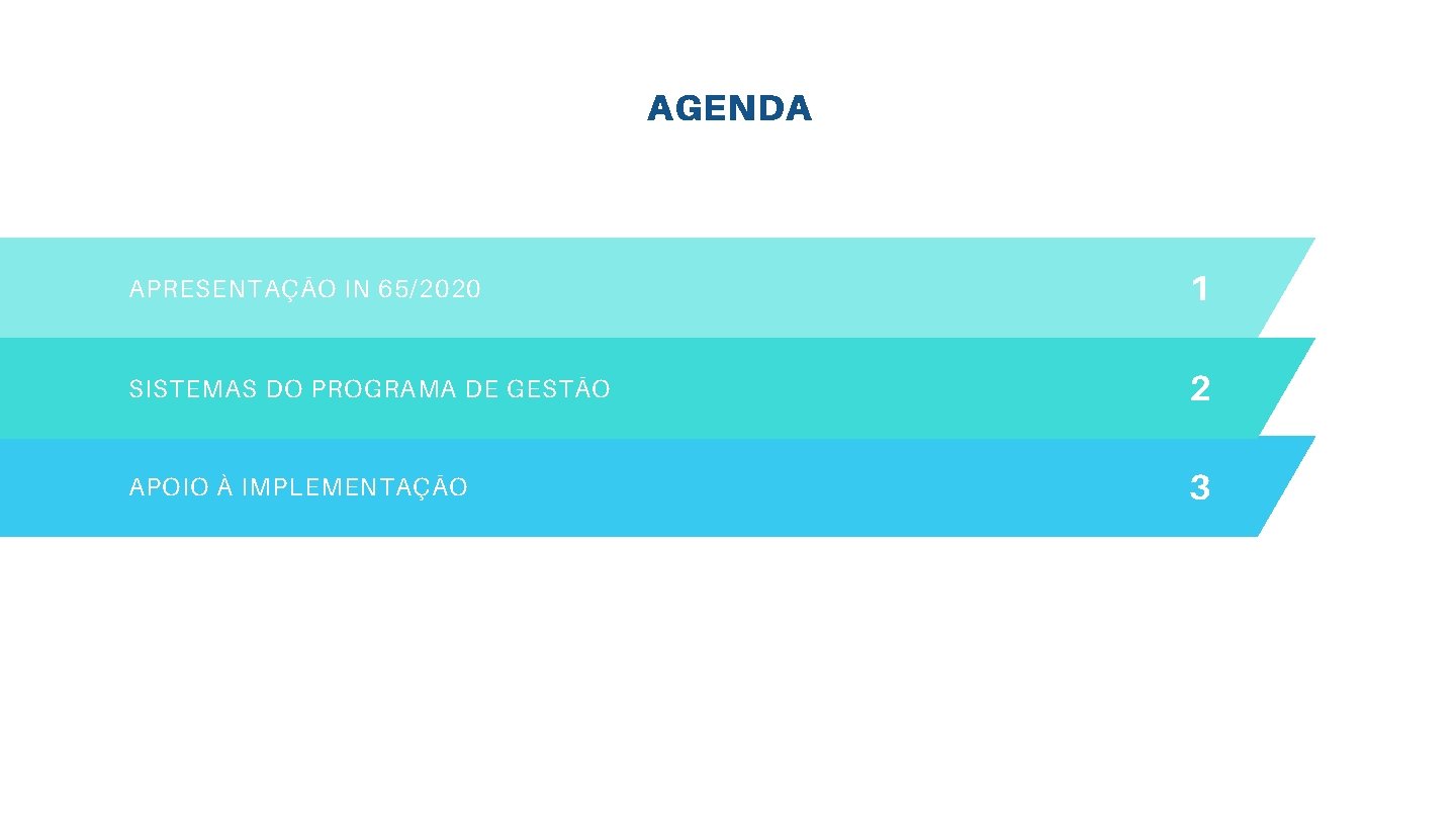 AGENDA APRESENTAÇÃO IN 65/2020 1 SISTEMAS DO PROGRAMA DE GESTÃO 2 APOIO À IMPLEMENTAÇÃO