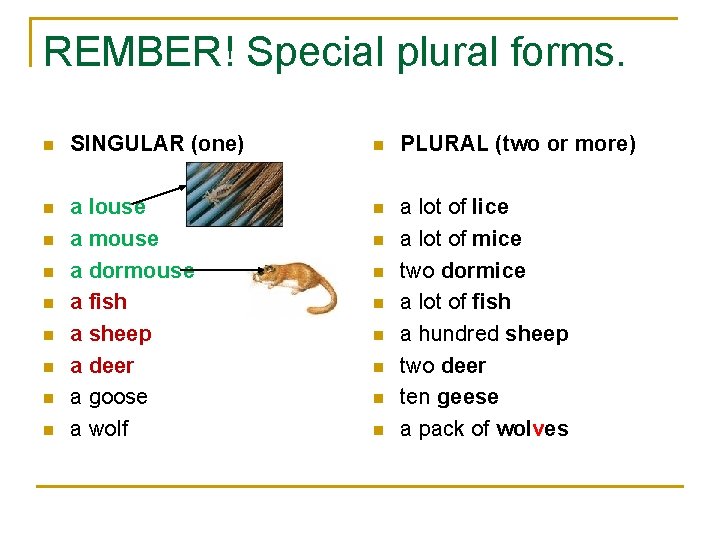 REMBER! Special plural forms. n SINGULAR (one) n PLURAL (two or more) n a