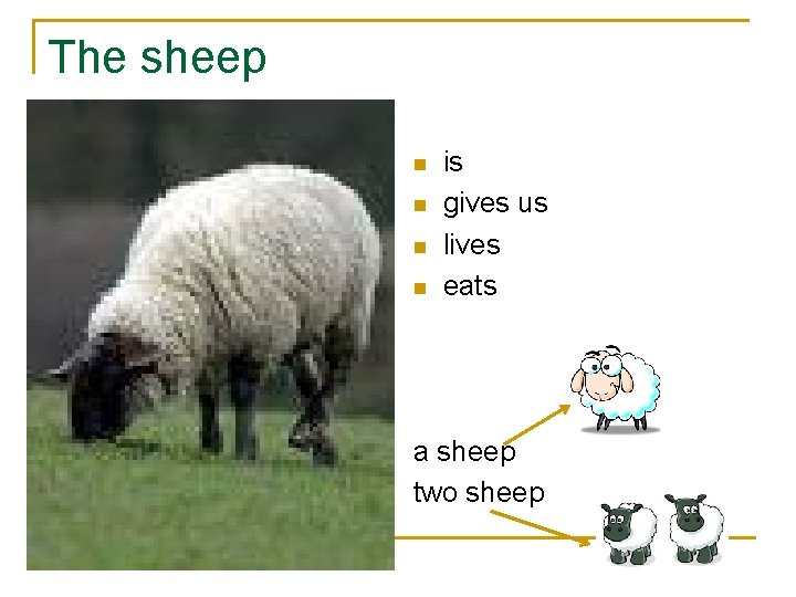 The sheep n n is gives us lives eats a sheep two sheep 