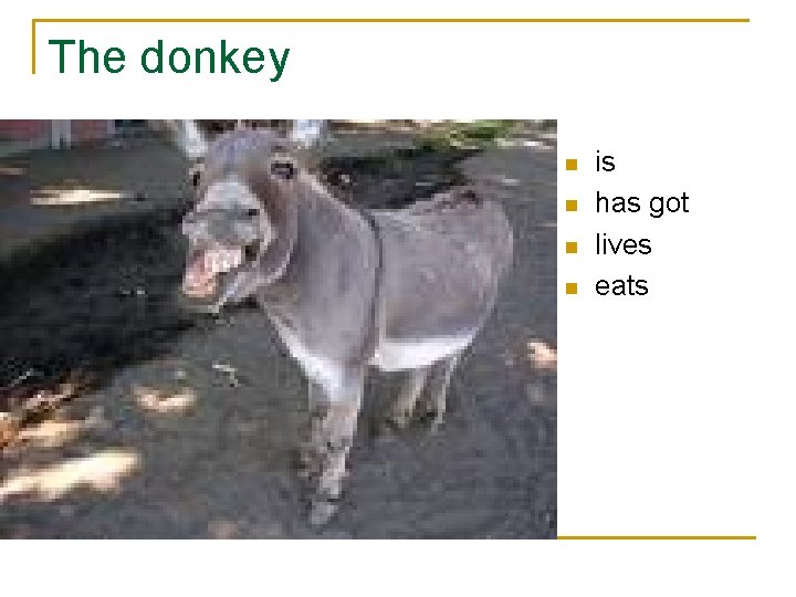 The donkey n n is has got lives eats 