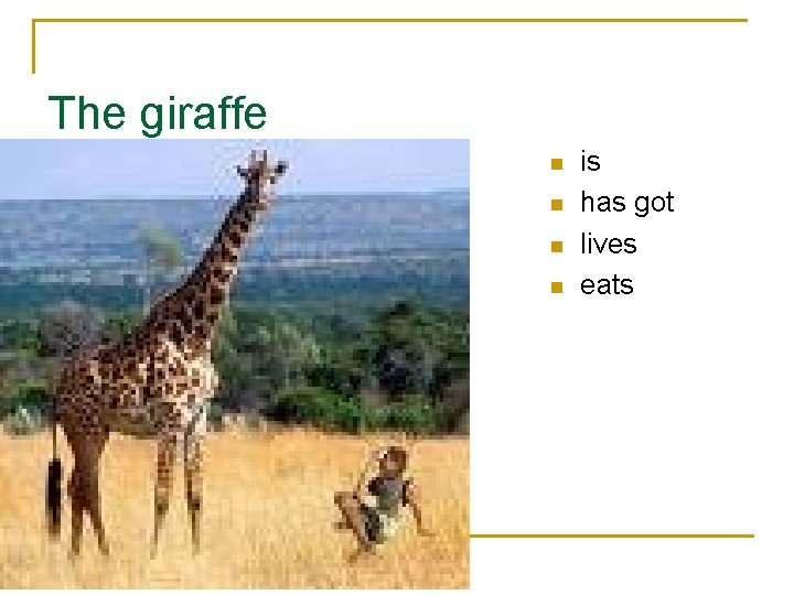 The giraffe n n is has got lives eats 