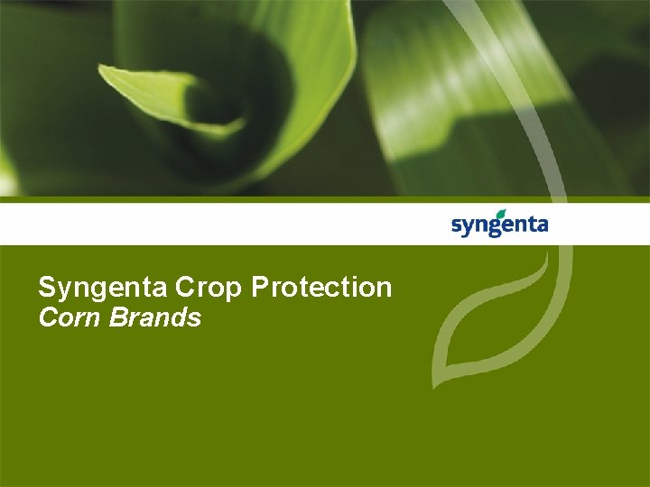 Syngenta Crop Protection Corn Brands 