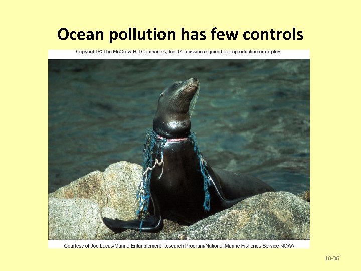 Ocean pollution has few controls 10 -36 