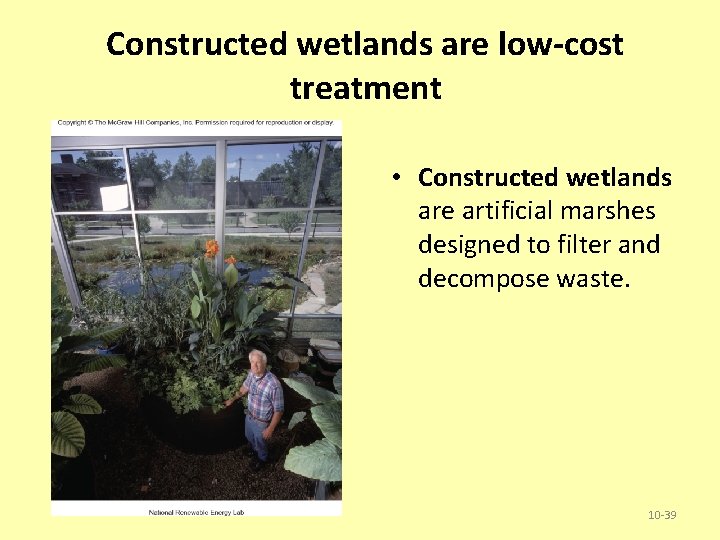 Constructed wetlands are low-cost treatment • Constructed wetlands are artificial marshes designed to filter