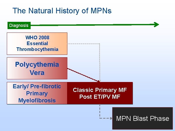 The Natural History of MPNs Diagnosis WHO 2008 Essential Thrombocythemia Polycythemia Vera Early/ Pre-fibrotic