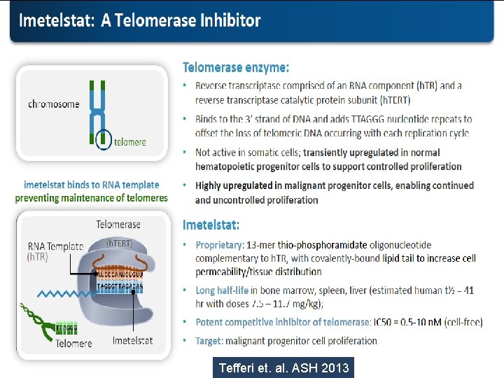 Imetelstat: A Telomerase Inhibitor Telomerase enzyme: • Reverse transcriptase comprised of an RNA component