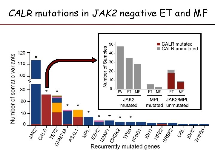 CALR mutations in JAK 2 negative ET and MF 