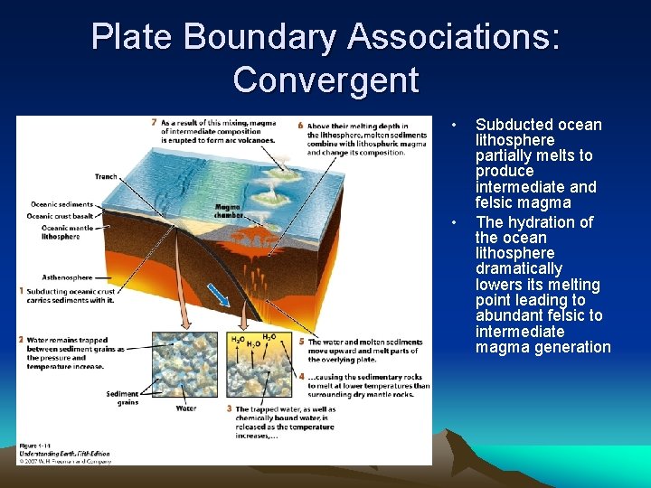 Plate Boundary Associations: Convergent • • Subducted ocean lithosphere partially melts to produce intermediate