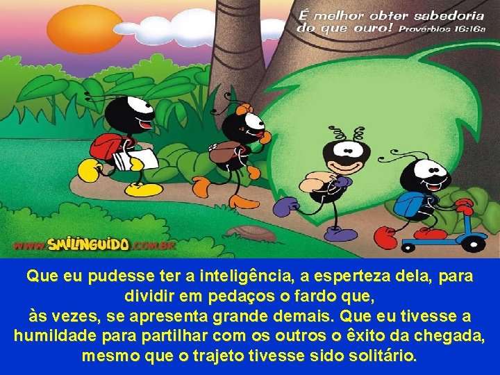 Que eu pudesse ter a inteligência, a esperteza dela, para dividir em pedaços o