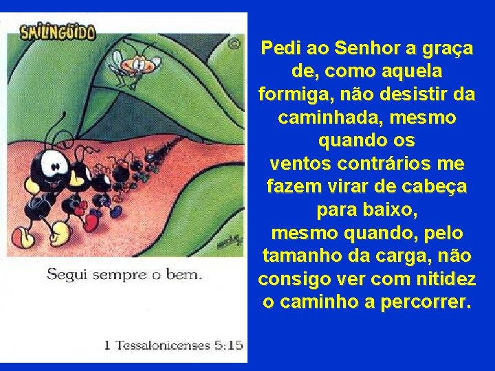 Pedi ao Senhor a graça de, como aquela formiga, não desistir da caminhada, mesmo