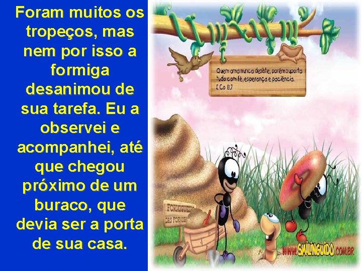 Foram muitos os tropeços, mas nem por isso a formiga desanimou de sua tarefa.