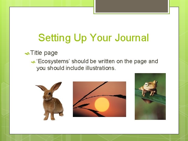 Setting Up Your Journal Title page ‘Ecosystems’ should be written on the page and