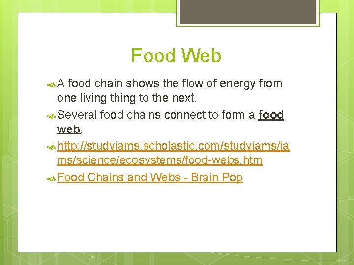 Food Web A food chain shows the flow of energy from one living thing