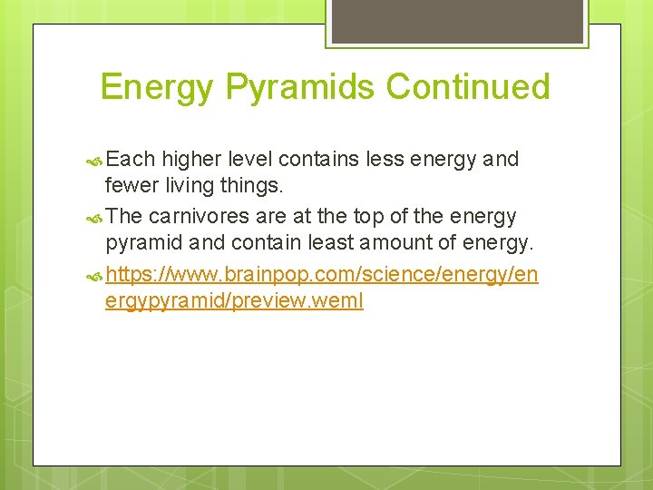 Energy Pyramids Continued Each higher level contains less energy and fewer living things. The