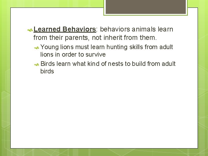  Learned Behaviors: behaviors animals learn from their parents, not inherit from them. Young