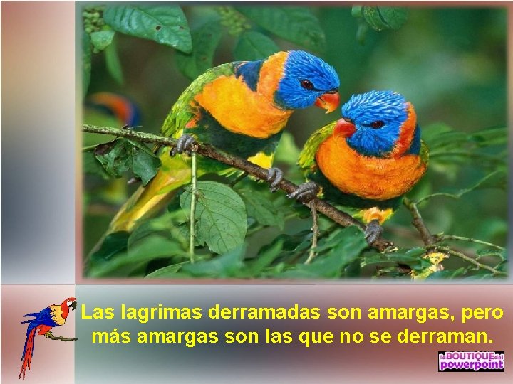 Las lagrimas derramadas son amargas, pero más amargas son las que no se derraman.