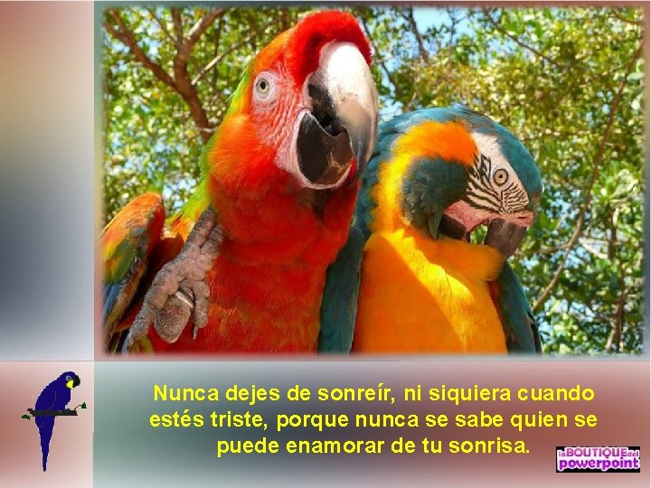 Nunca dejes de sonreír, ni siquiera cuando estés triste, porque nunca se sabe quien