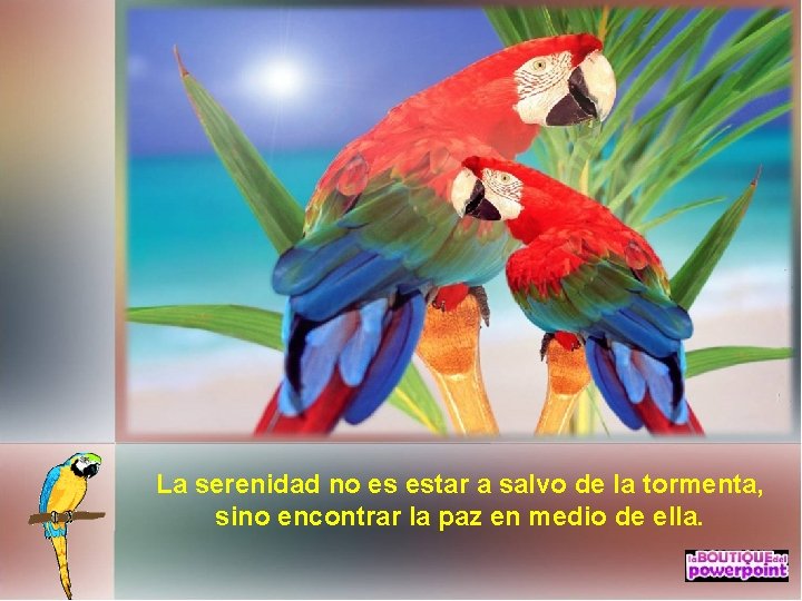La serenidad no es estar a salvo de la tormenta, sino encontrar la paz