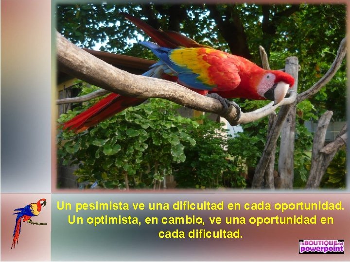Un pesimista ve una dificultad en cada oportunidad. Un optimista, en cambio, ve una